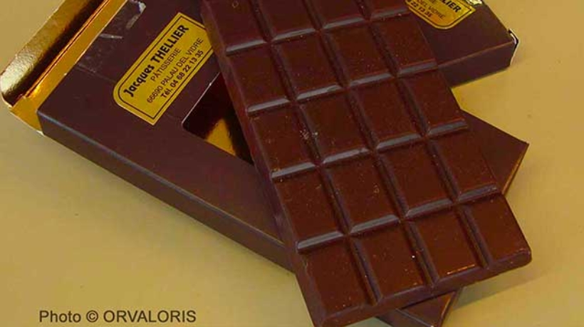 miniature du chocolat de Jacques Tellier publié dans le Malin Gourmand