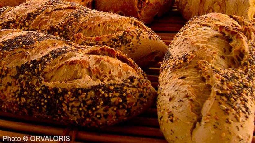 miniature de pains spéciaux agrémentés de graines publié dans le Malin Gourmand