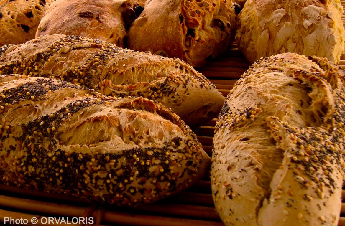 painspeciaux pains spéciaux agrémentés de graines publié dans le Malin Gourmand